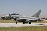 anatolian eagle 2012 image 20