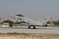 anatolian eagle 2012 image 22