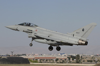 anatolian eagle 2012 image 23