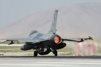 anatolian eagle 2012 image 28