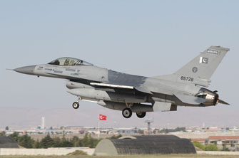 anatolian eagle 2012 image 29