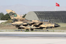 anatolian eagle 2012 image 31