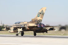 anatolian eagle 2012 image 32