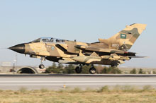 anatolian eagle 2012 image 33