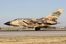 anatolian eagle 2012 image 34