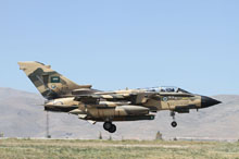 anatolian eagle 2012 image 37