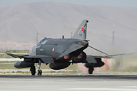 anatolian eagle 2012 image 44