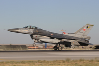 anatolian eagle 2012 image 60