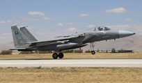 anatolian eagle 2013 image 11