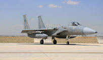 anatolian eagle 2013 image 13