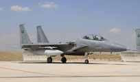 anatolian eagle 2013 image 15