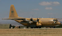 anatolian eagle 2013 image 2