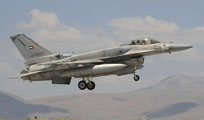 anatolian eagle 2013 image 20