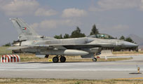 anatolian eagle 2013 image 22