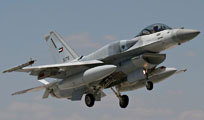 anatolian eagle 2013 image 27