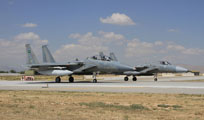 anatolian eagle 2013 image 3