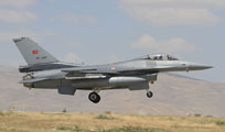 anatolian eagle 2013 image 32