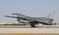 anatolian eagle 2013 image 33