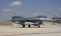 anatolian eagle 2013 image 35