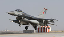 anatolian eagle 2013 image 36