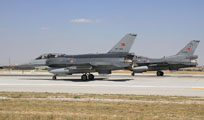 anatolian eagle 2013 image 39