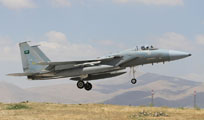 anatolian eagle 2013 image 4