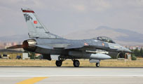 anatolian eagle 2013 image 41