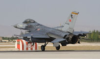 anatolian eagle 2013 image 43
