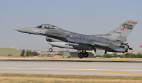 anatolian eagle 2013 image 48