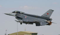 anatolian eagle 2013 image 49