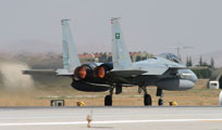 anatolian eagle 2013 image 5