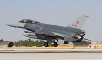 anatolian eagle 2013 image 50