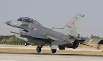 anatolian eagle 2013 image 54