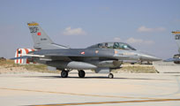 anatolian eagle 2013 image 57