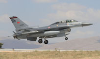 anatolian eagle 2013 image 58