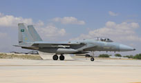 anatolian eagle 2013 image 6