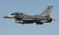 anatolian eagle 2013 image 61