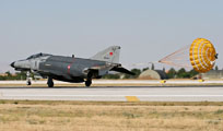 anatolian eagle 2013 image 66
