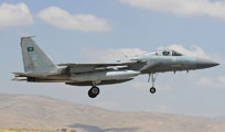 anatolian eagle 2013 image 7