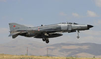 anatolian eagle 2013 image 77