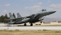 anatolian eagle 2013 image 8