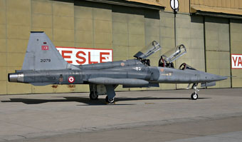 anatolian eagle 2013 image 85