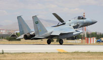 anatolian eagle 2013 image 9