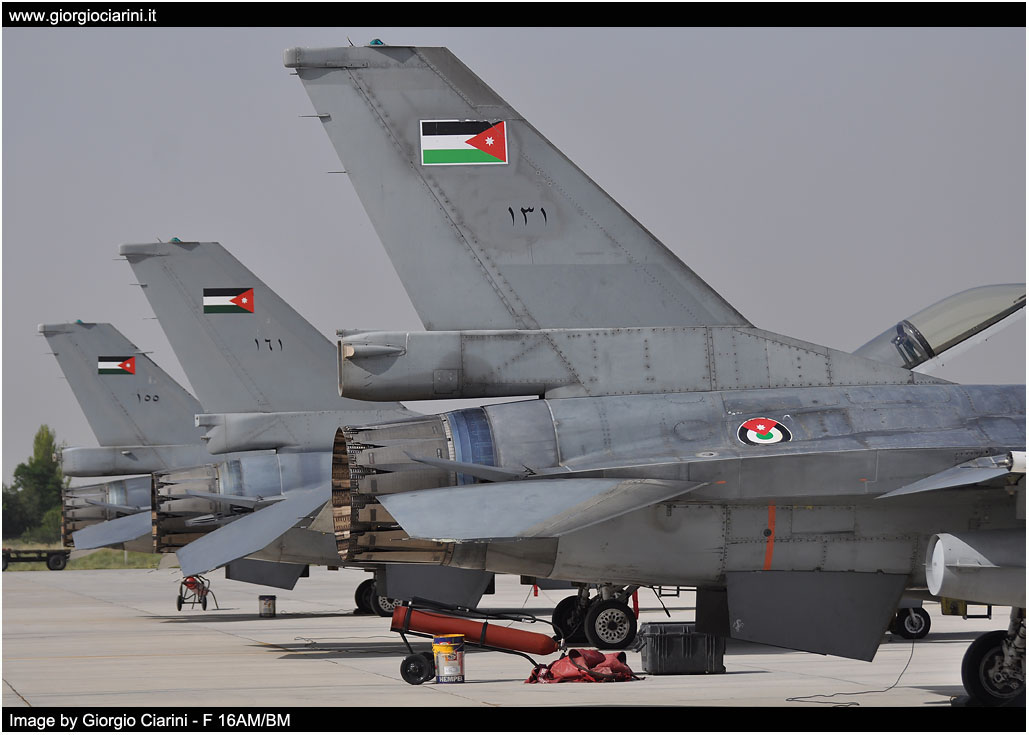 anatolian eagle 2014 image 195
