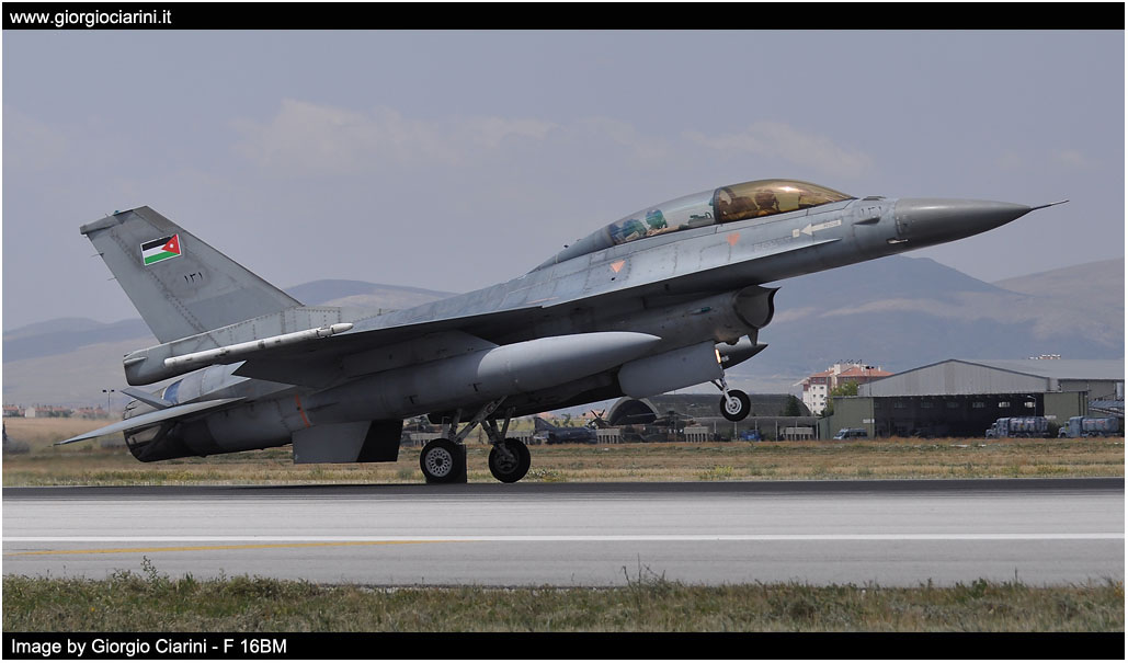 anatolian eagle 2014 image 198
