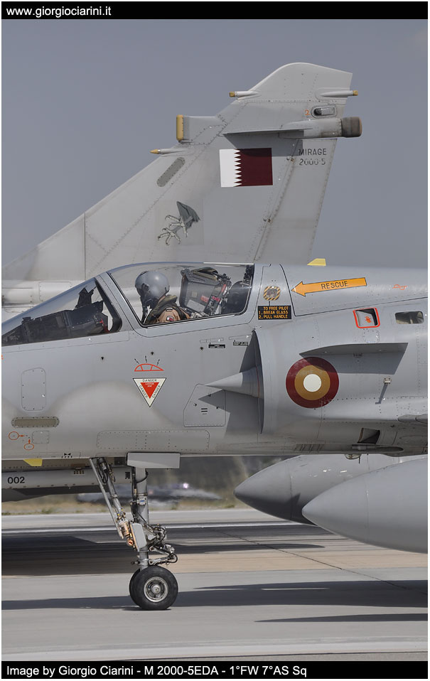 anatolian eagle 2014 image 111