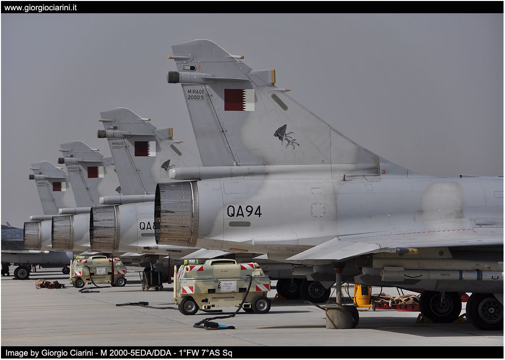 anatolian eagle 2014 image 112
