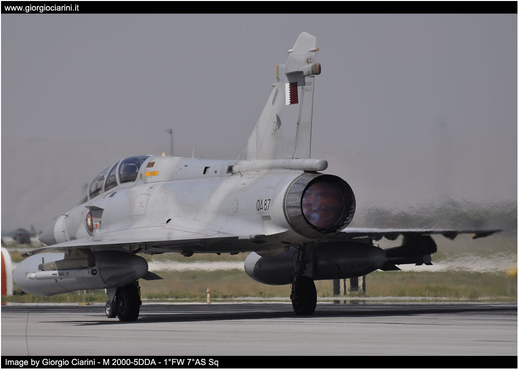 anatolian eagle 2014 image 114
