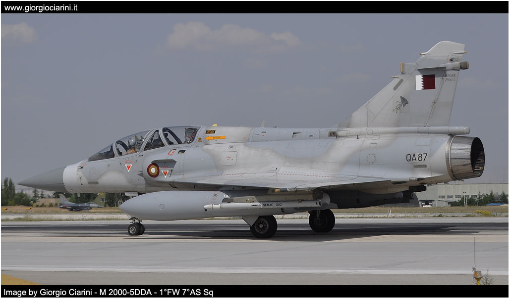 anatolian eagle 2014 image 115