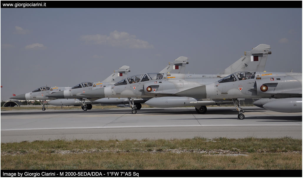 anatolian eagle 2014 image 116